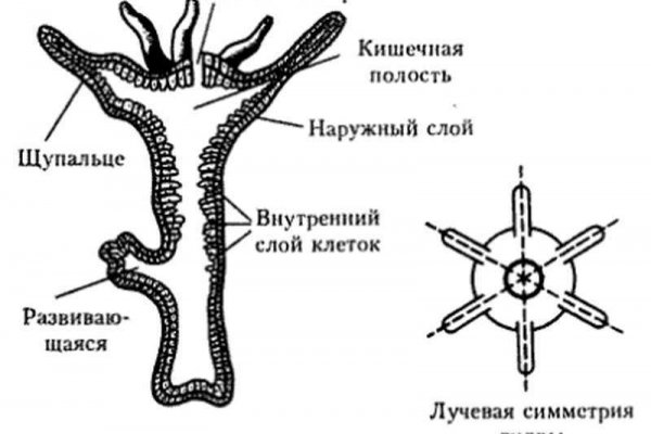 Регистрация на сайте кракен